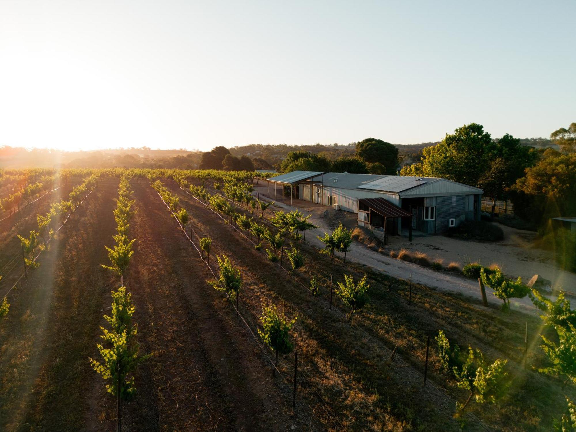 Bed In A Shed Vineyard Stay Watervale Exterior photo